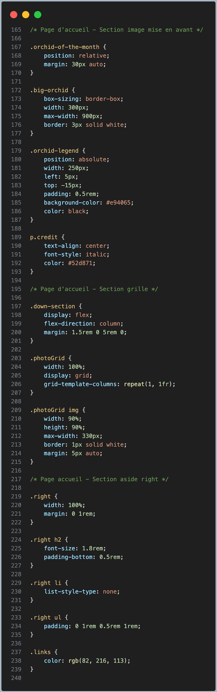 capture du code css de la page d'accueil
